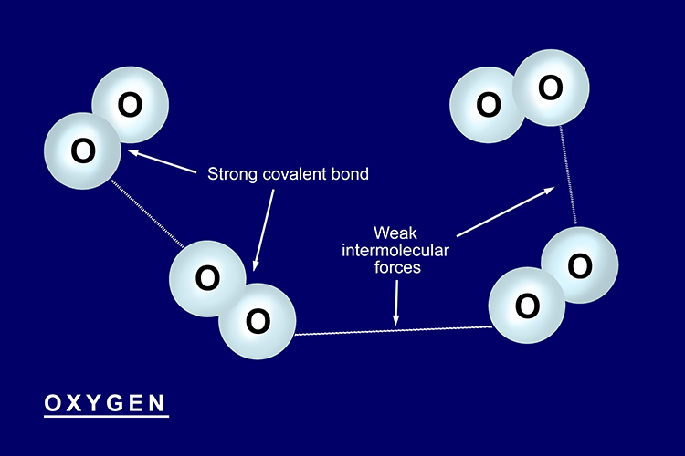 diagram showing weak intermolecular bonds